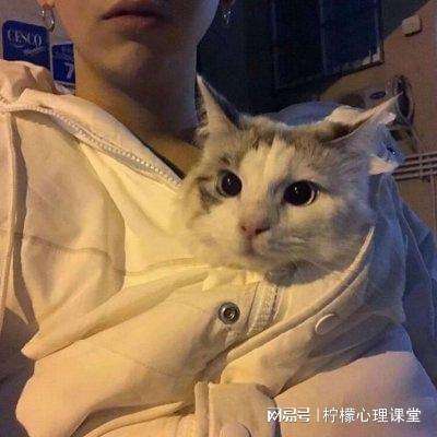 荒野乱斗官方正版下载